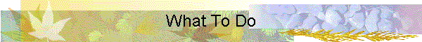 What To Do
