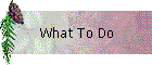 What To Do