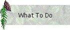 What To Do
